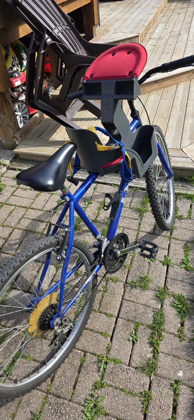 Adult bike with Centric-Safe Haven Child Seat attached - photo 2