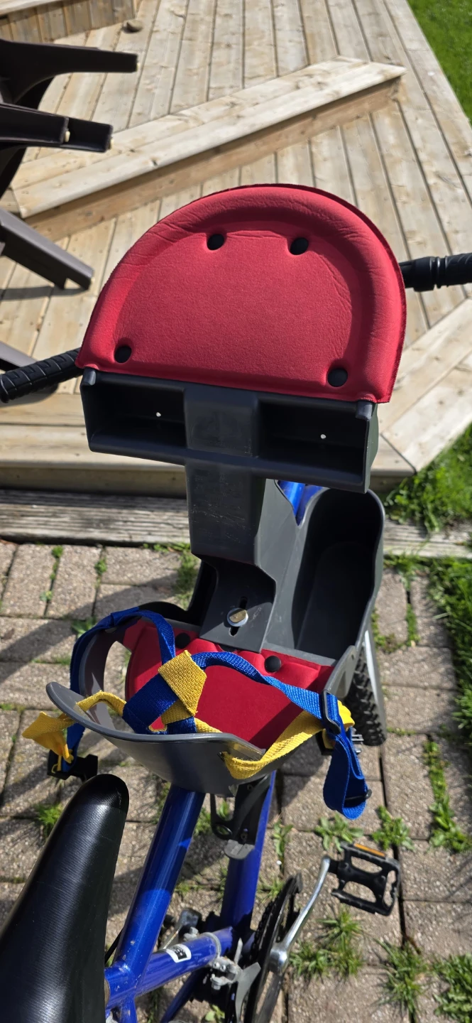 Adult bike with Centric-Safe Haven Child Seat attached - photo 4