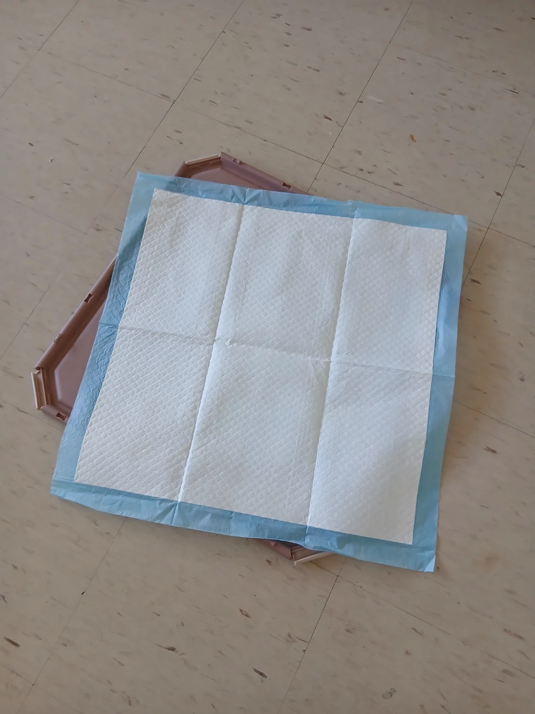 Out! Pad Holder for Pet Training Pads - photo 2