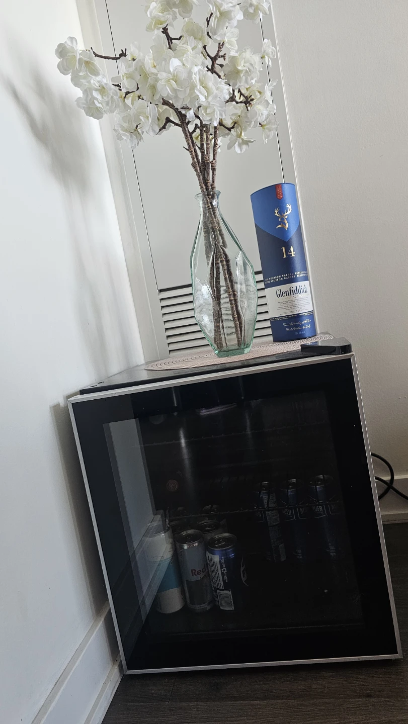 Frigidaire 60 Can Beverage Cooler - photo 4