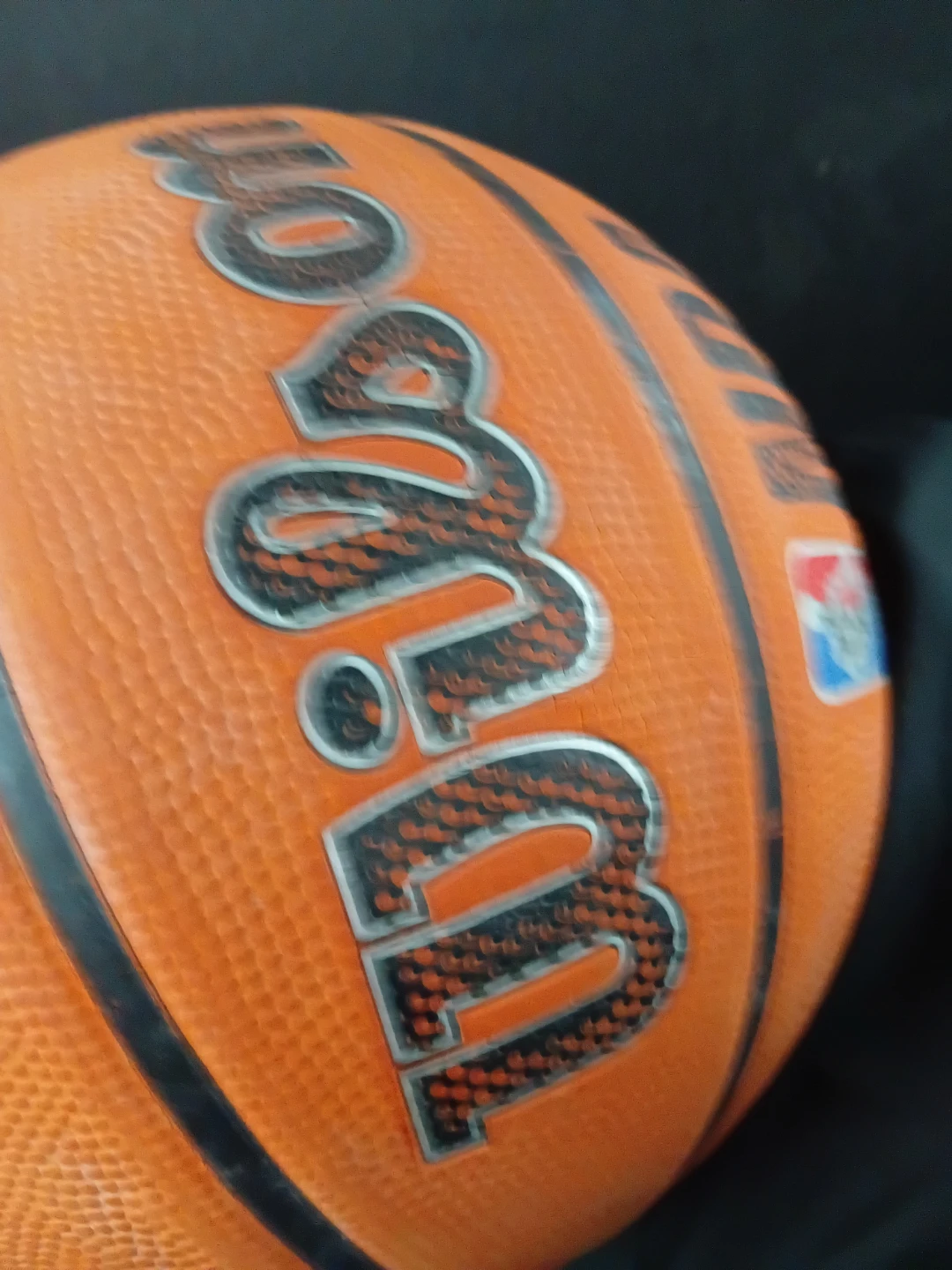 Wilson Basketball