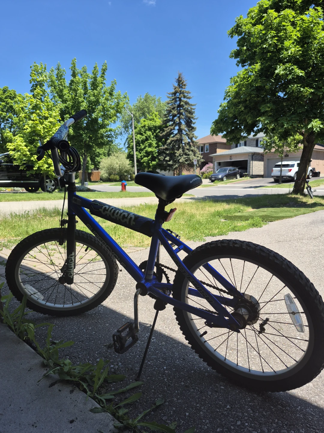 Blue BMX Bike