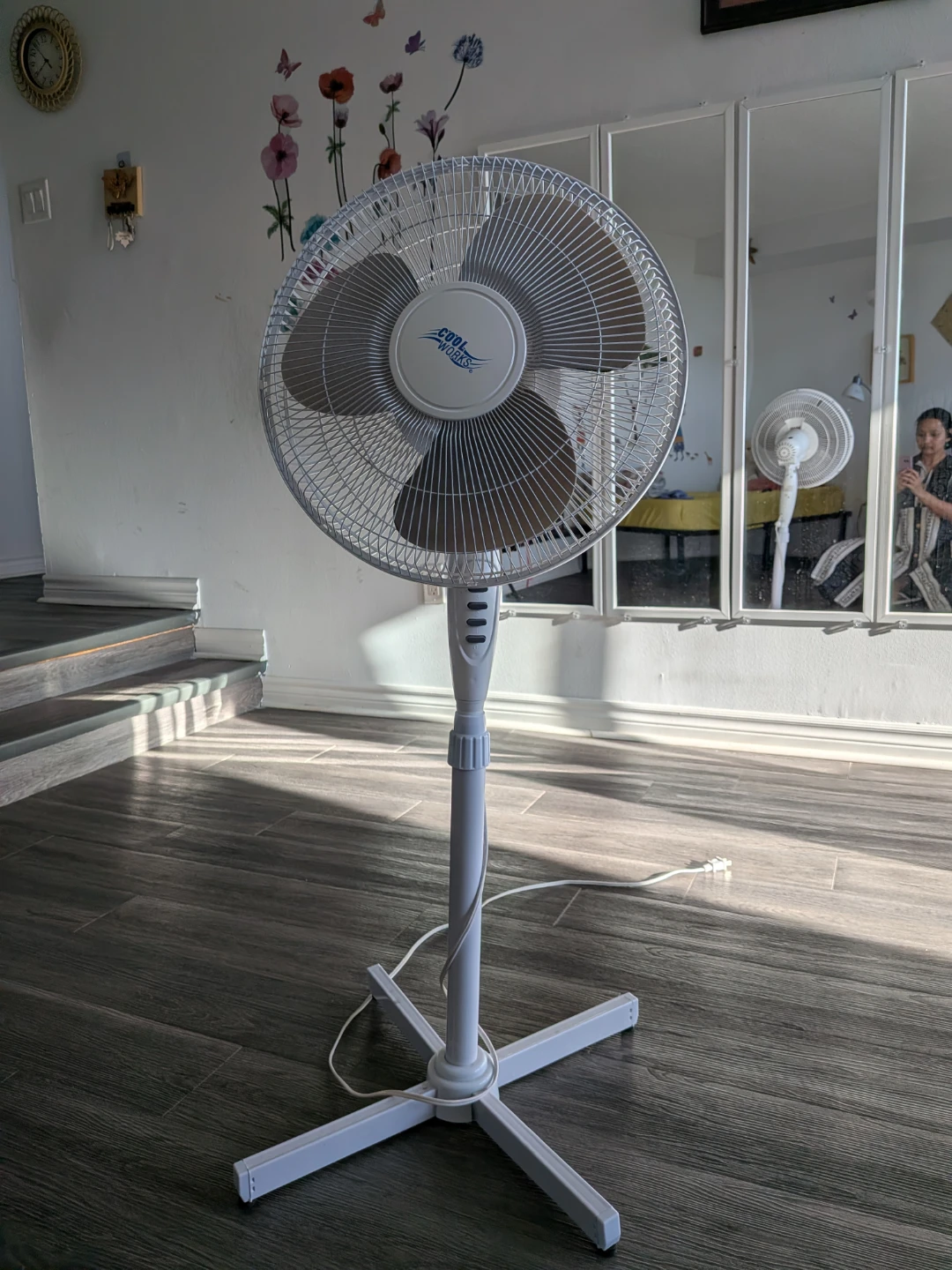 Fans for Summer