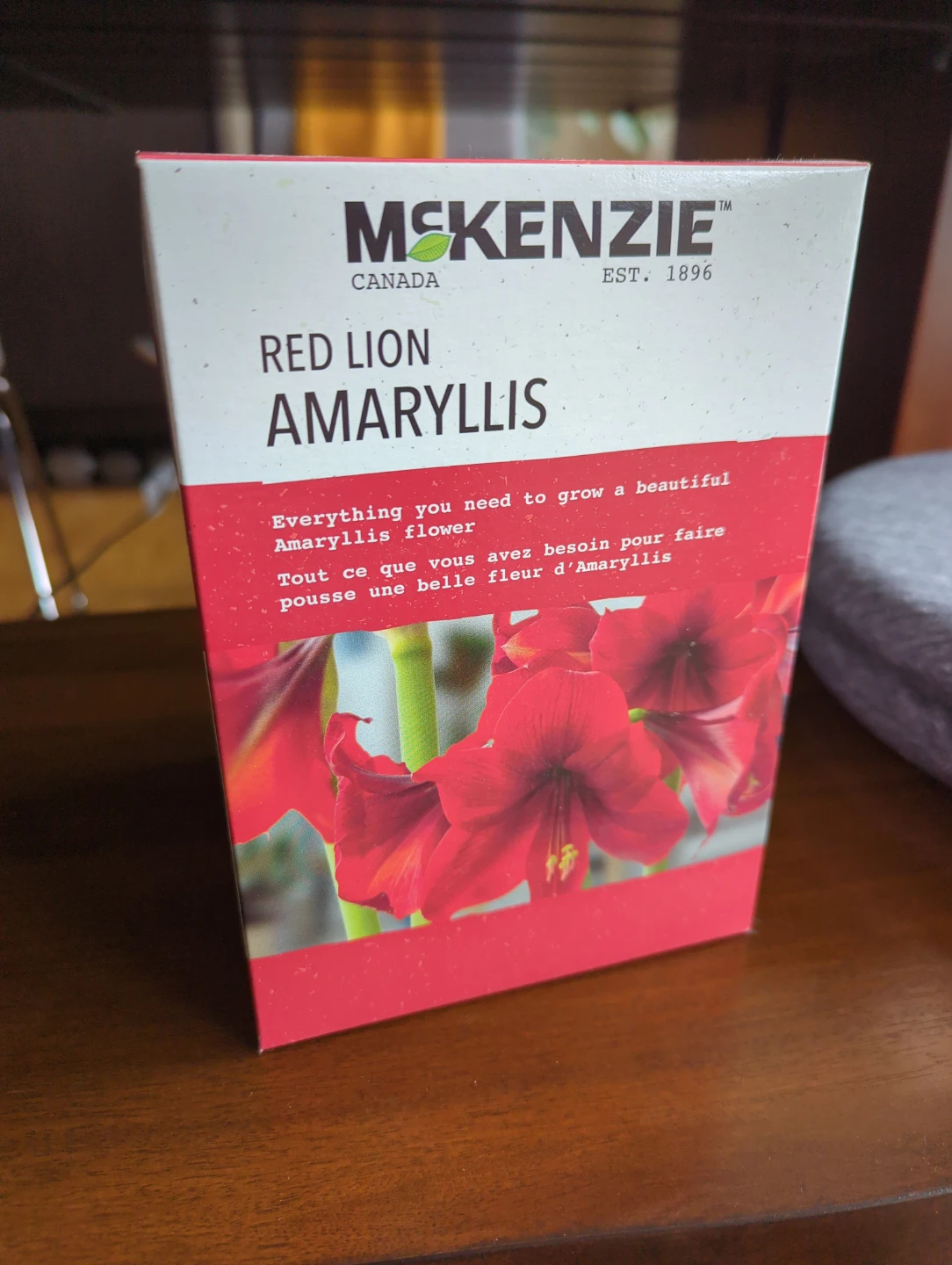 McKenzie Red Lion Amaryllis Bulb Kit