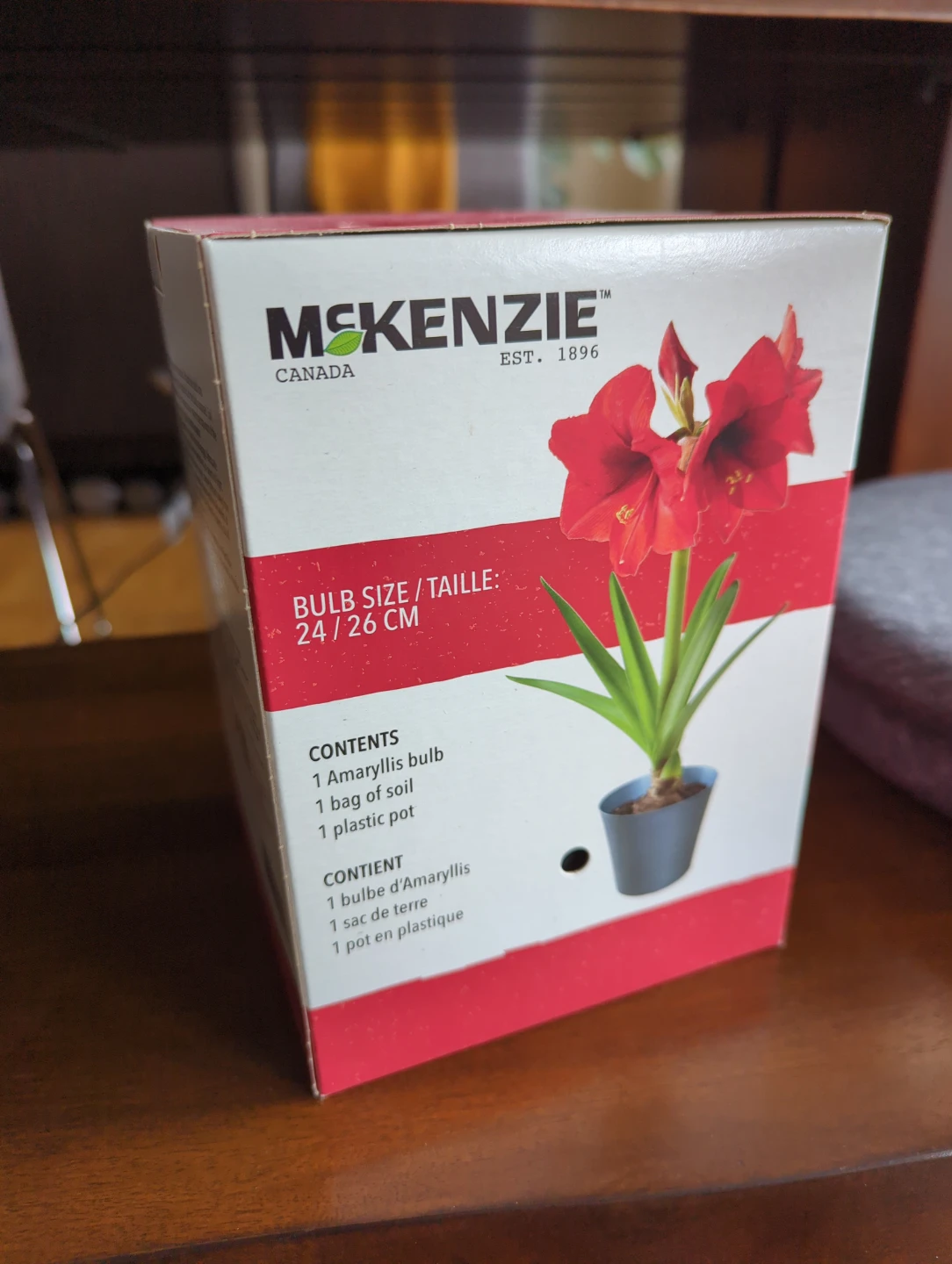 McKenzie Red Lion Amaryllis Bulb Kit - photo 2