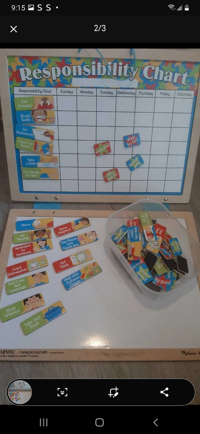Melissa & Doug Magnetic Responsibility Chart