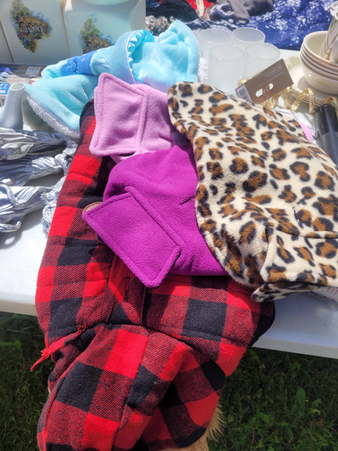 Bundle of Pet Clothes