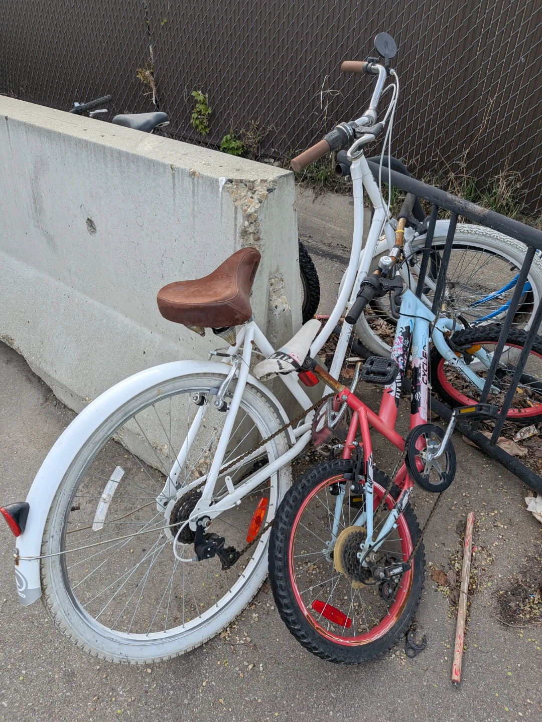 White Women's Wellington Cruiser Bicycle