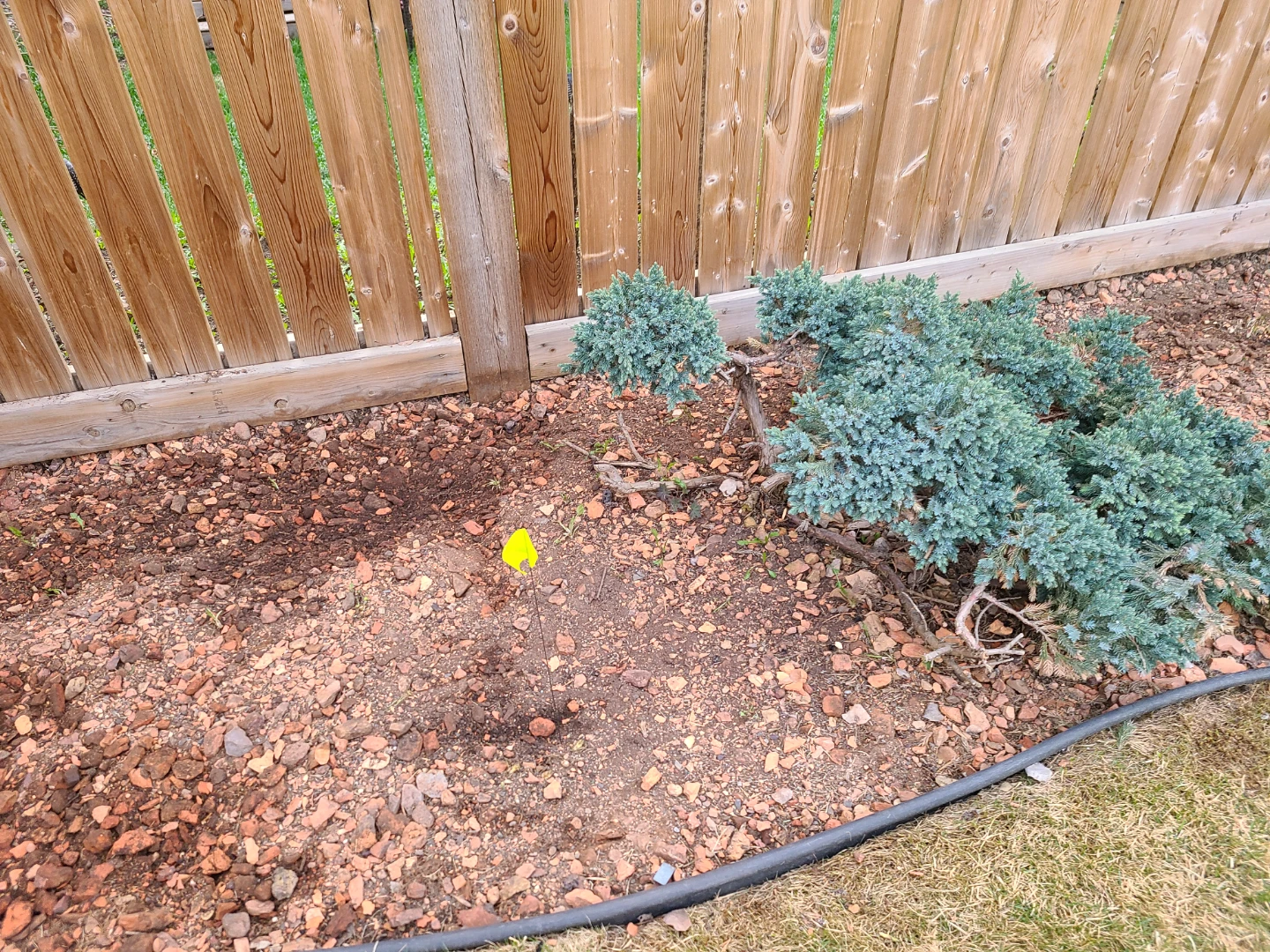 FREE RED SHALE - photo 2