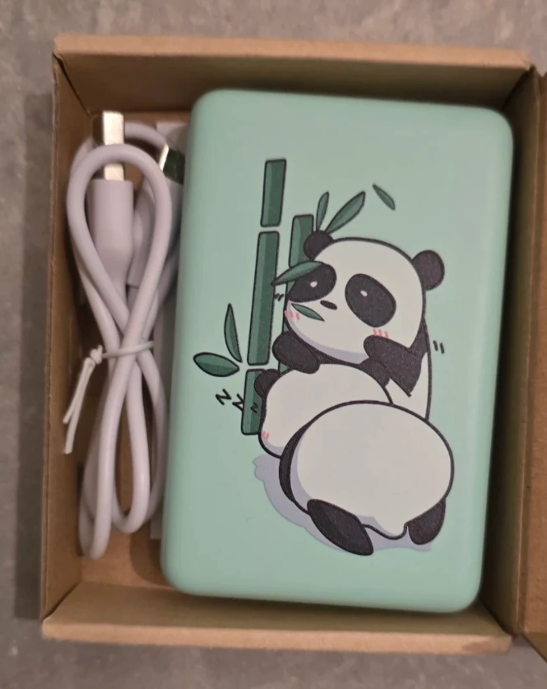 10000mAh Power Bank - Mint Green Panda Design