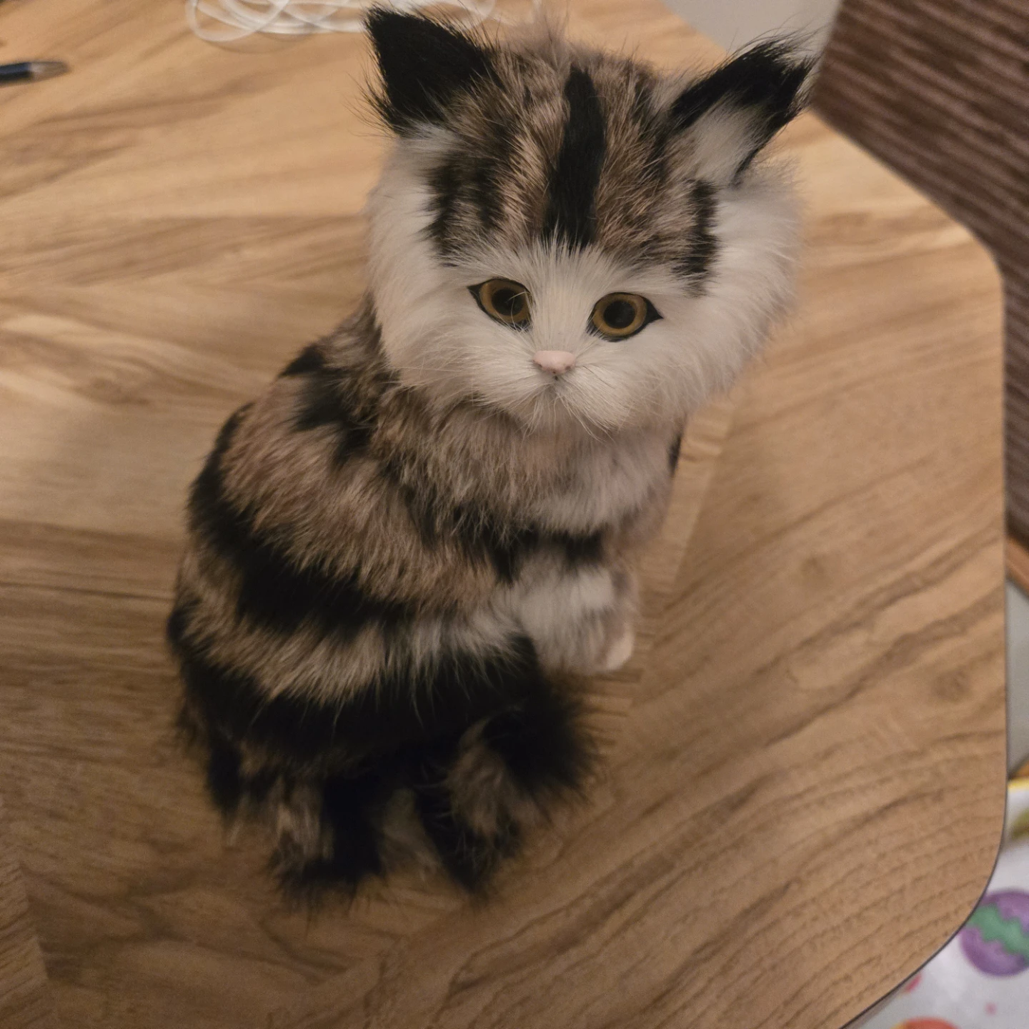 Plush Cat Toy with Sound