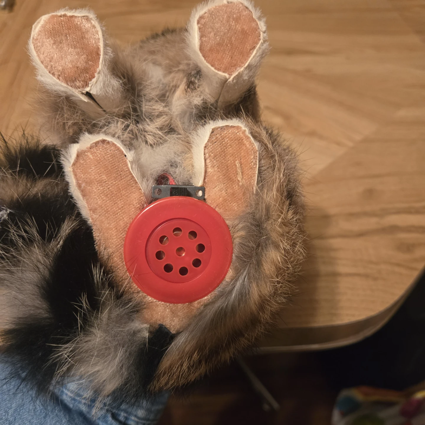 Plush Cat Toy with Sound - photo 2