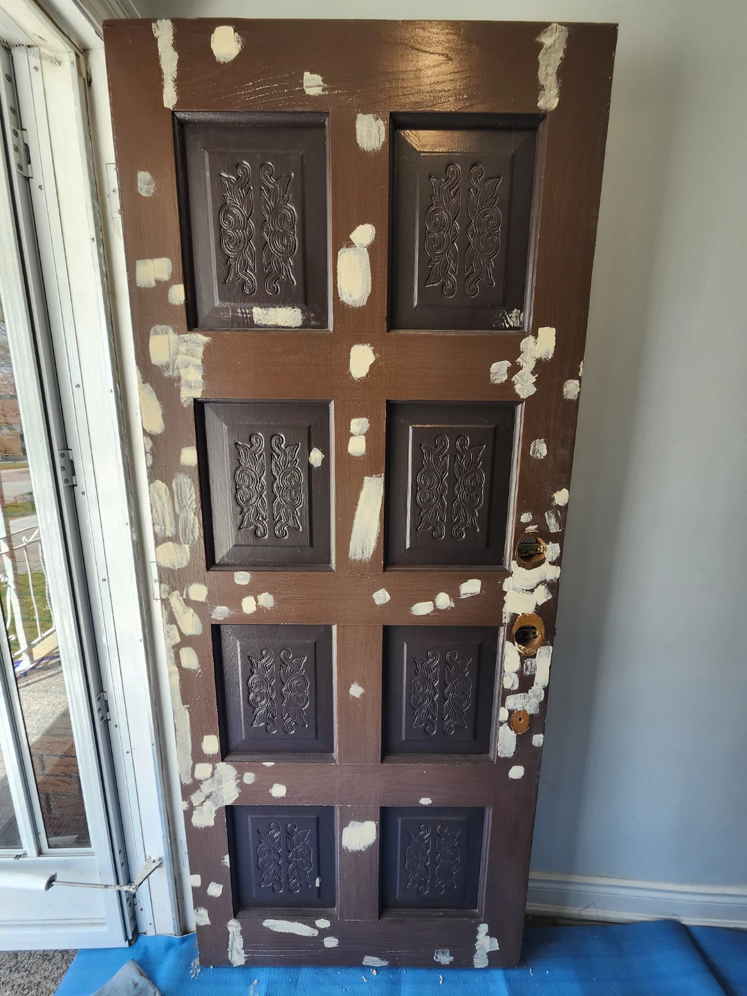 Painting door and garage door