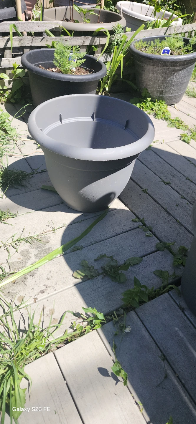 Grey Plastic Planter Pot