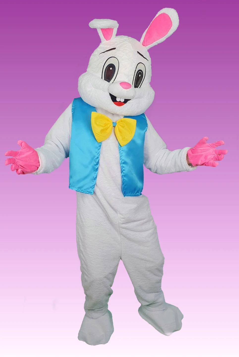 Easter Bunny Costume