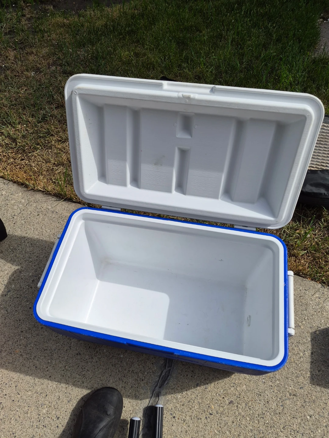 Coleman Cooler Blue White - photo 2