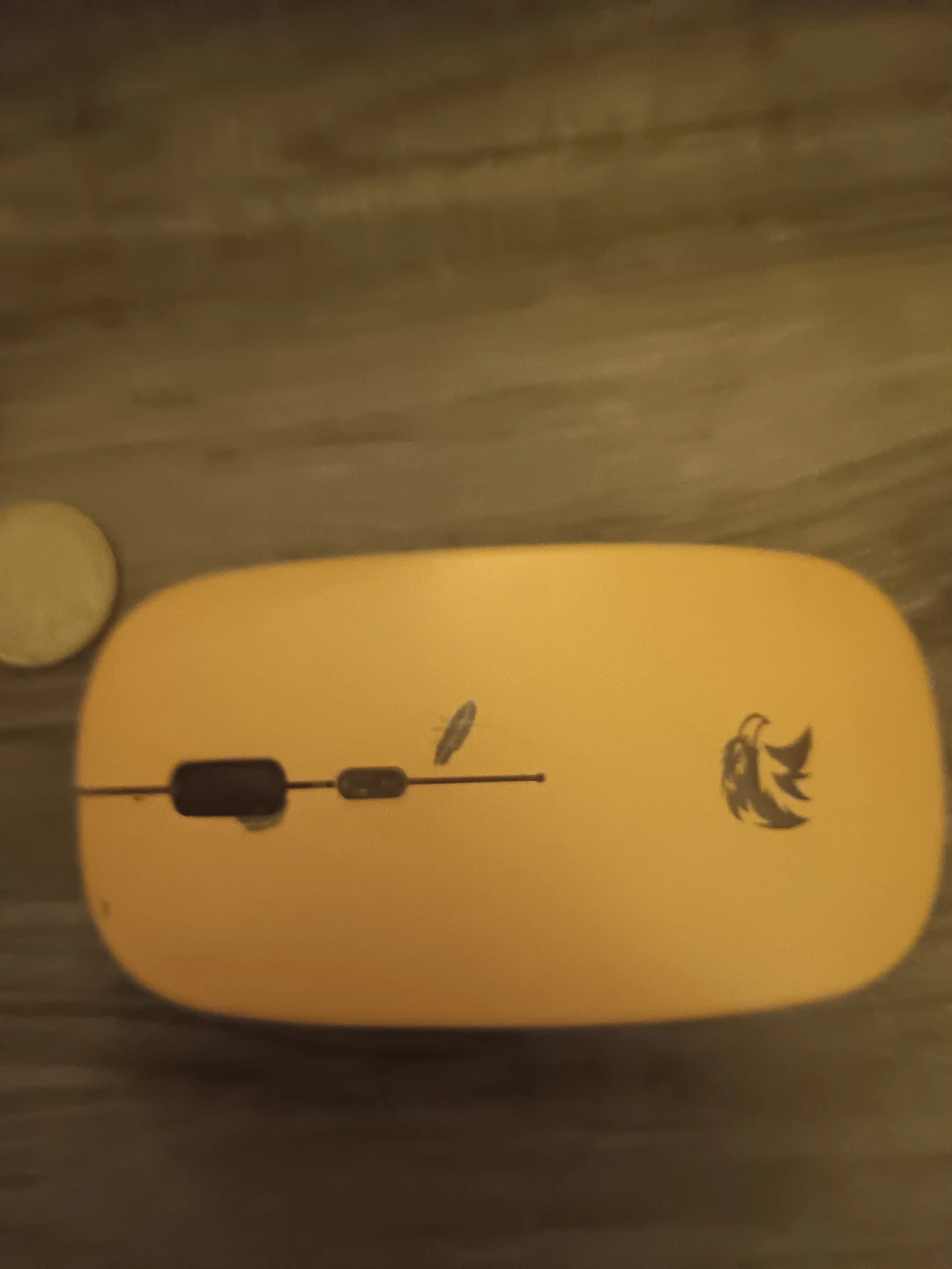 Wireless Computer Mouse