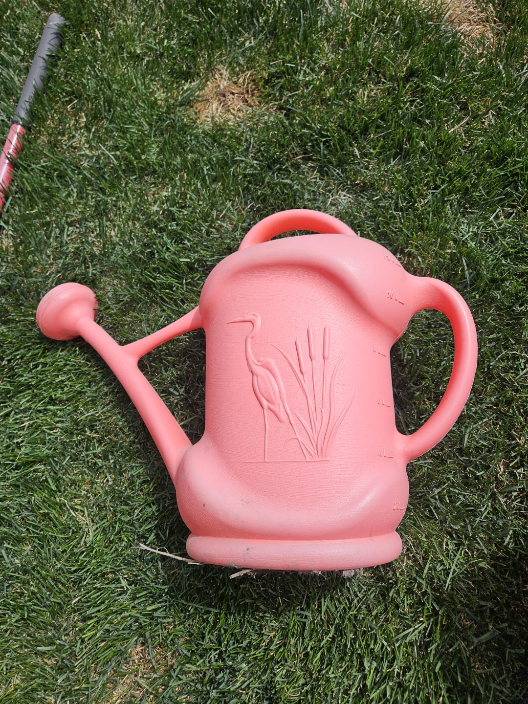 Pink Plastic Watering Can with Heron Design