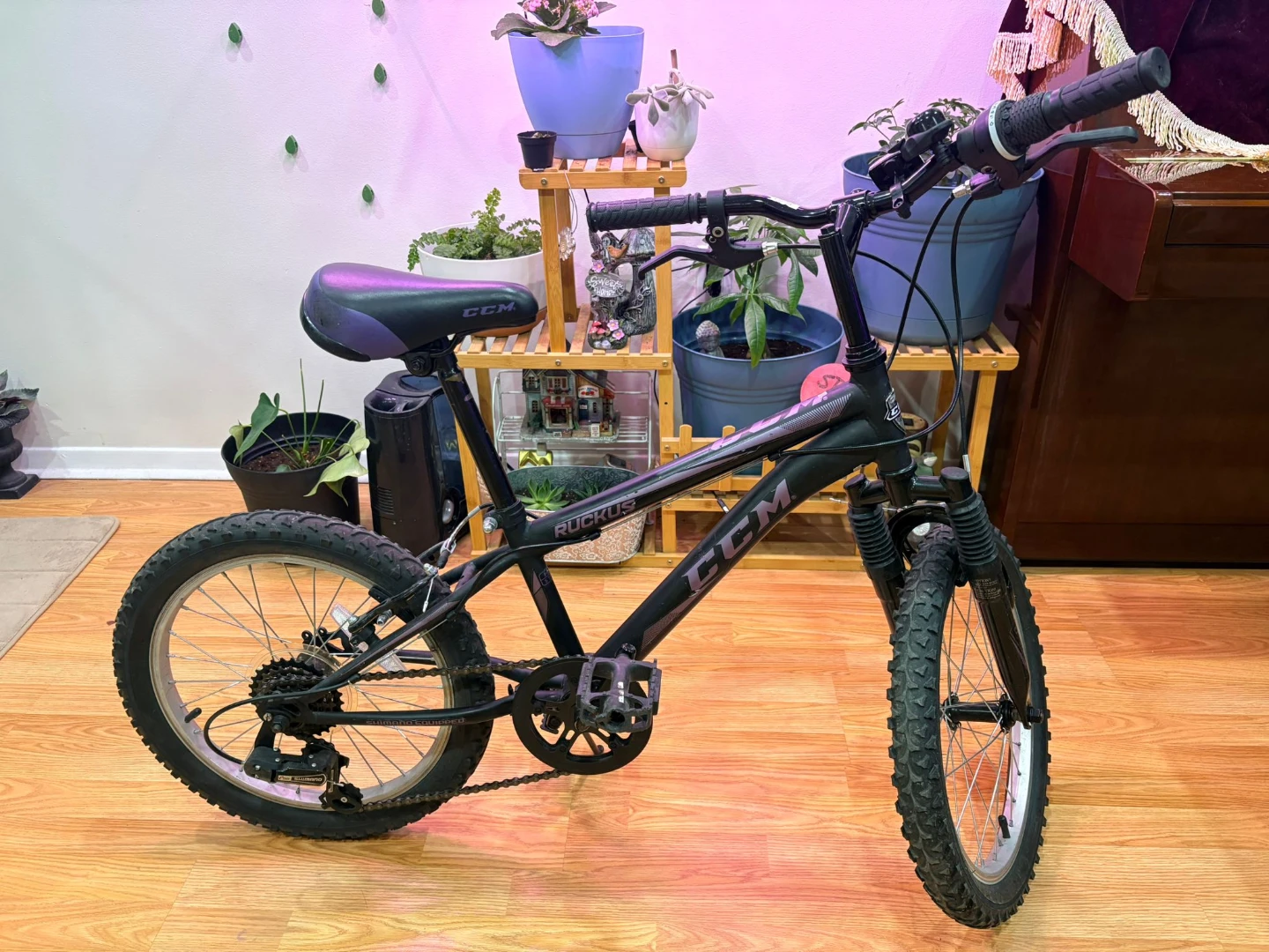 CCM Ruckus Kids Bicycle