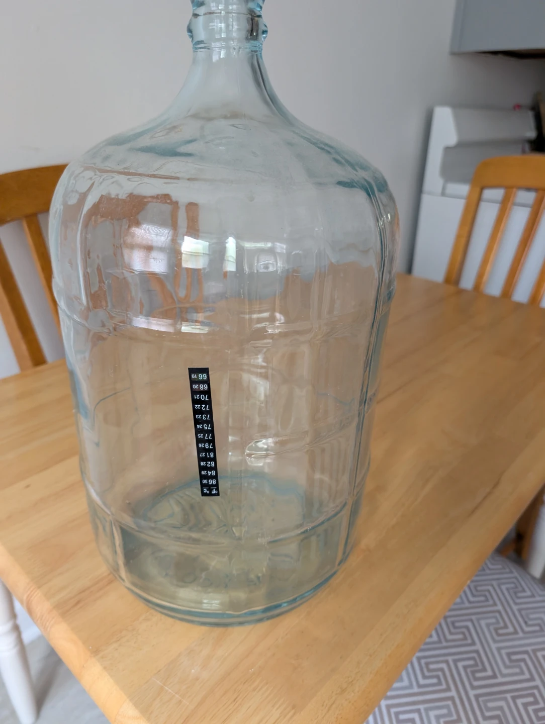 Glass Carboy/Jug