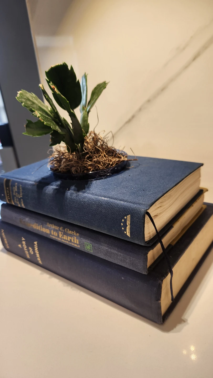 Upcycled vintage navy blue book planter with plant - photo 2