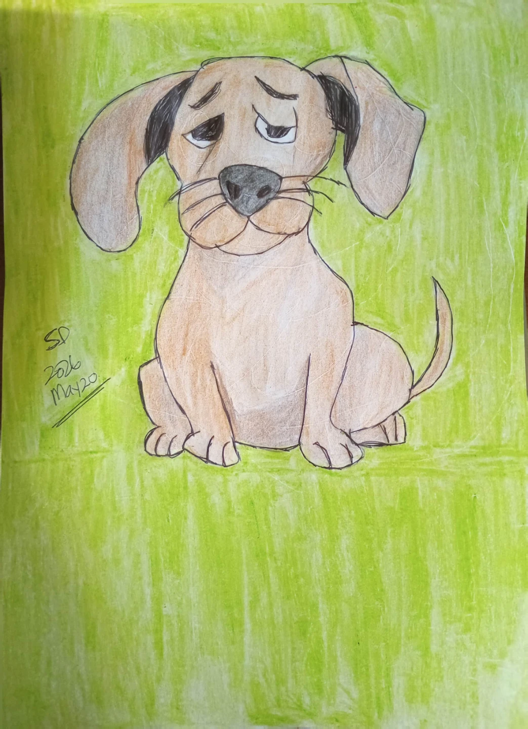 BROWN PUPPY WITH GREEN CRAYON BACKGROUND - photo 5