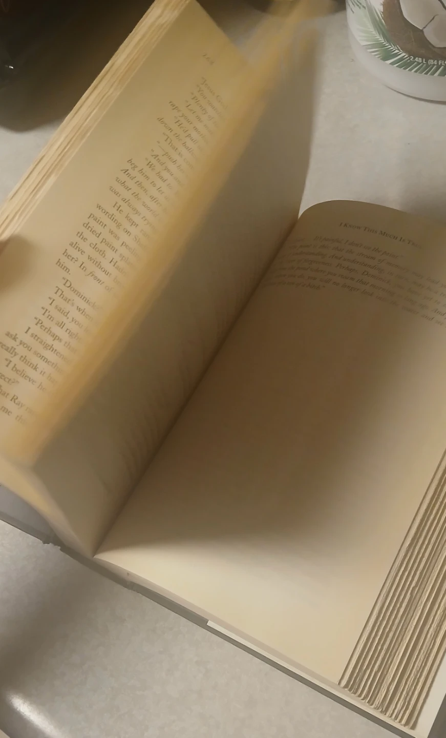 I Know This Much Is True by Wally Lamb Novel - photo 2