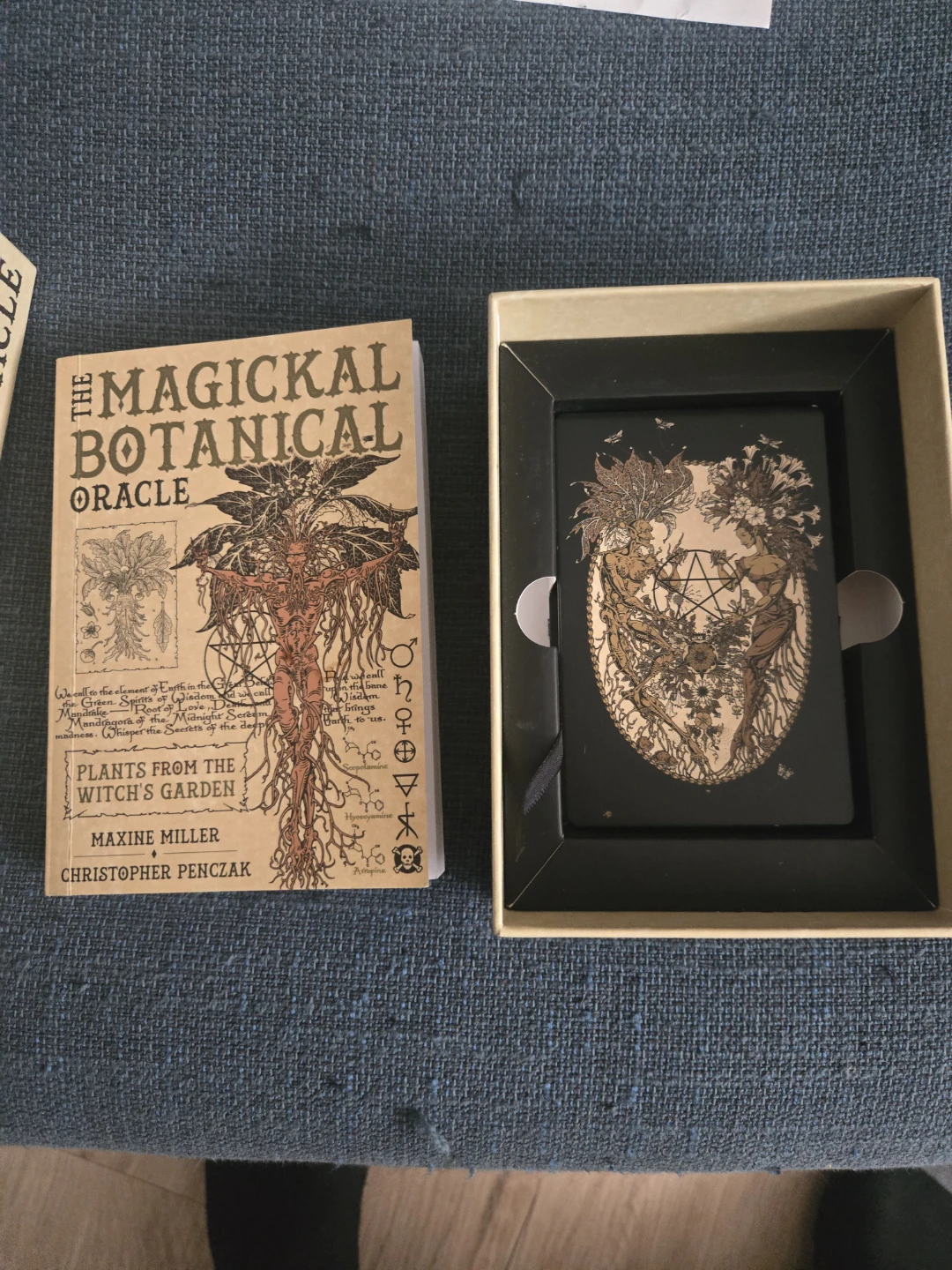 The Magickal Botanical Oracle Deck - photo 2