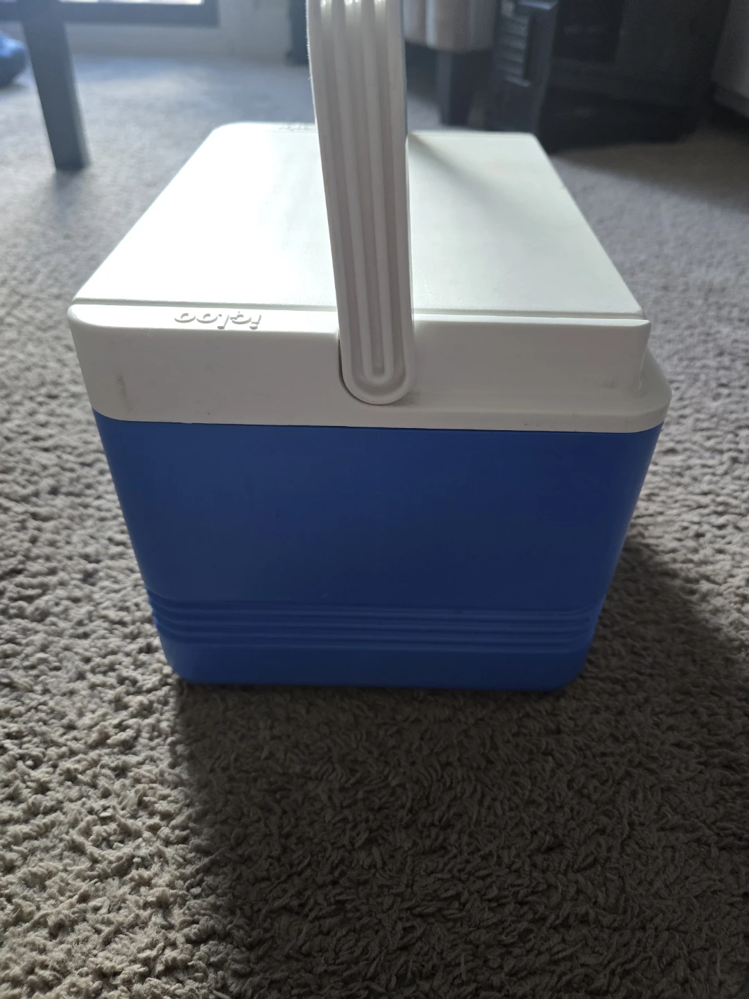 Igloo Cooler, Legend 12, blue, 9 Quart - photo 4