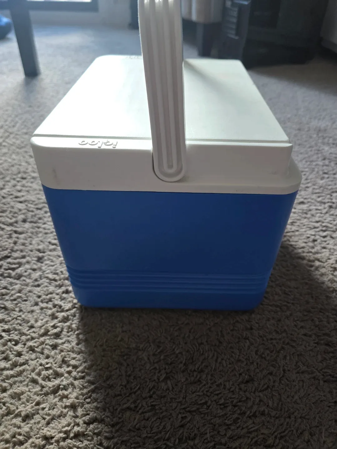 Igloo Cooler, Legend 12, blue, 9 Quart - photo 4