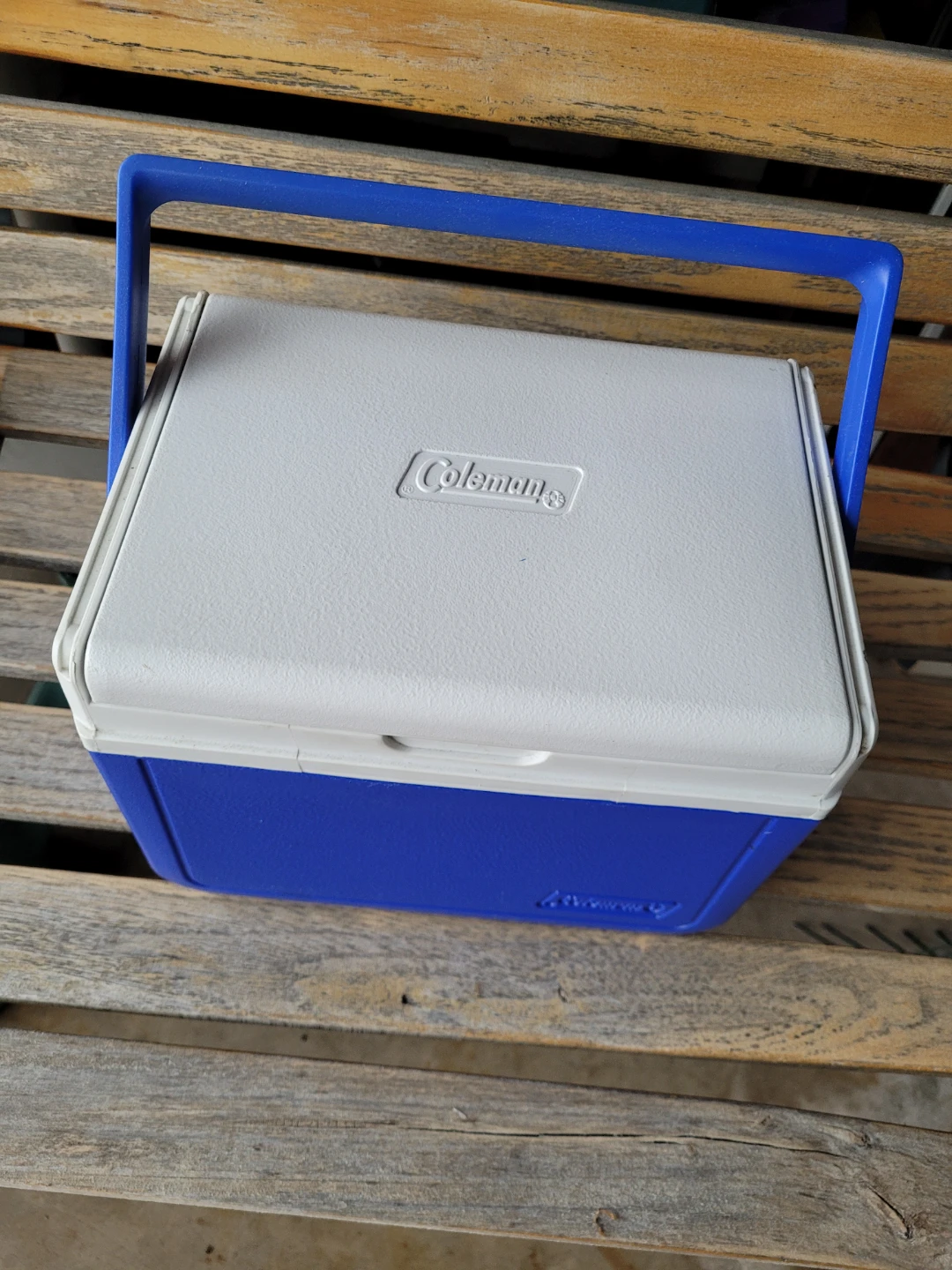 Coleman Blue and Grey Cooler lunchbox sized