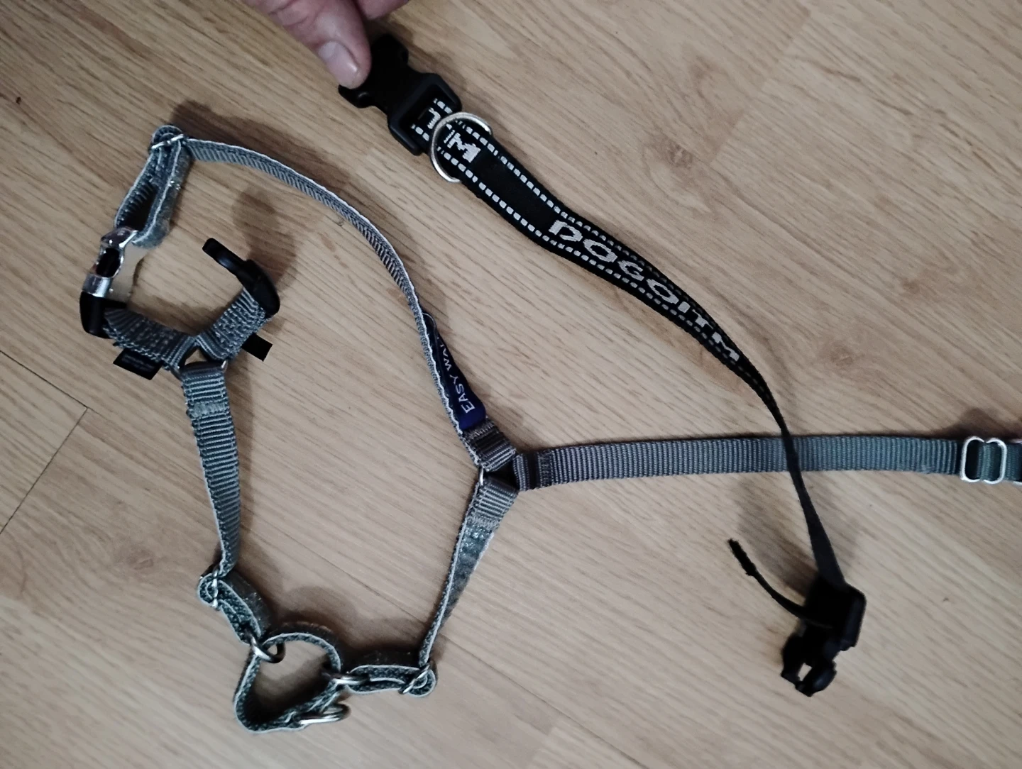 DOGOTTM Easy Walk Dog Harness and Collar Set