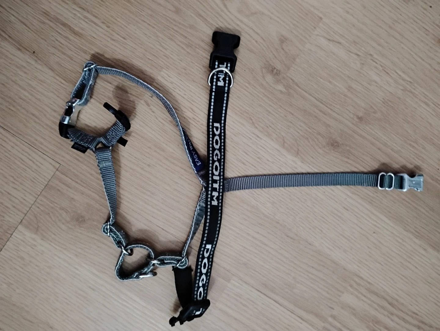 DOGOTTM Easy Walk Dog Harness and Collar Set - photo 2
