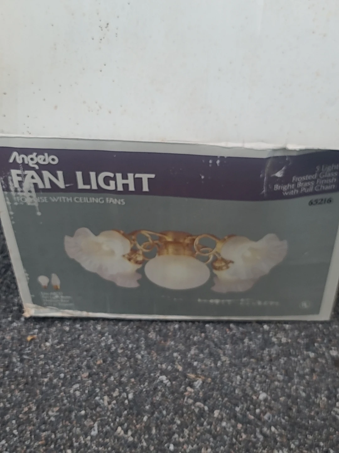 Angelo Fan Light 5 Light Bright Brass Finish