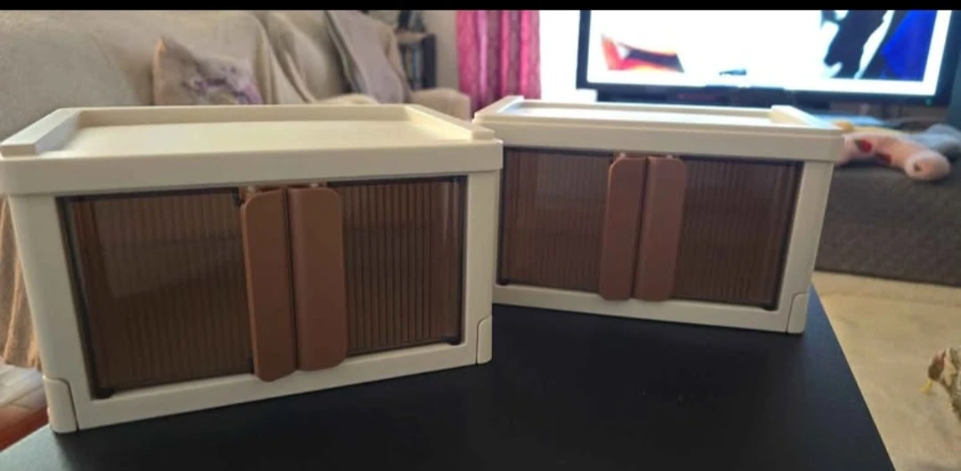 Pair of Collapsible Storage Bins