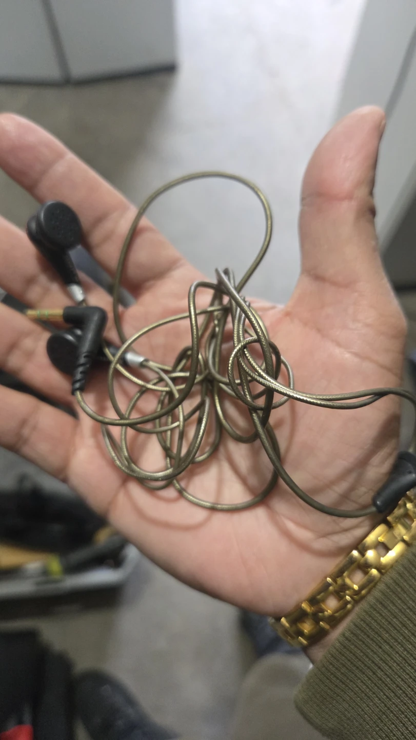 Earphones
