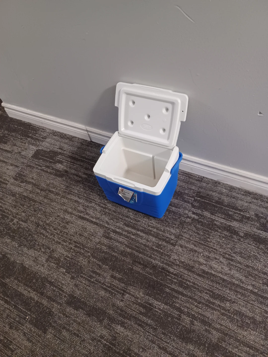 Coleman Cooler