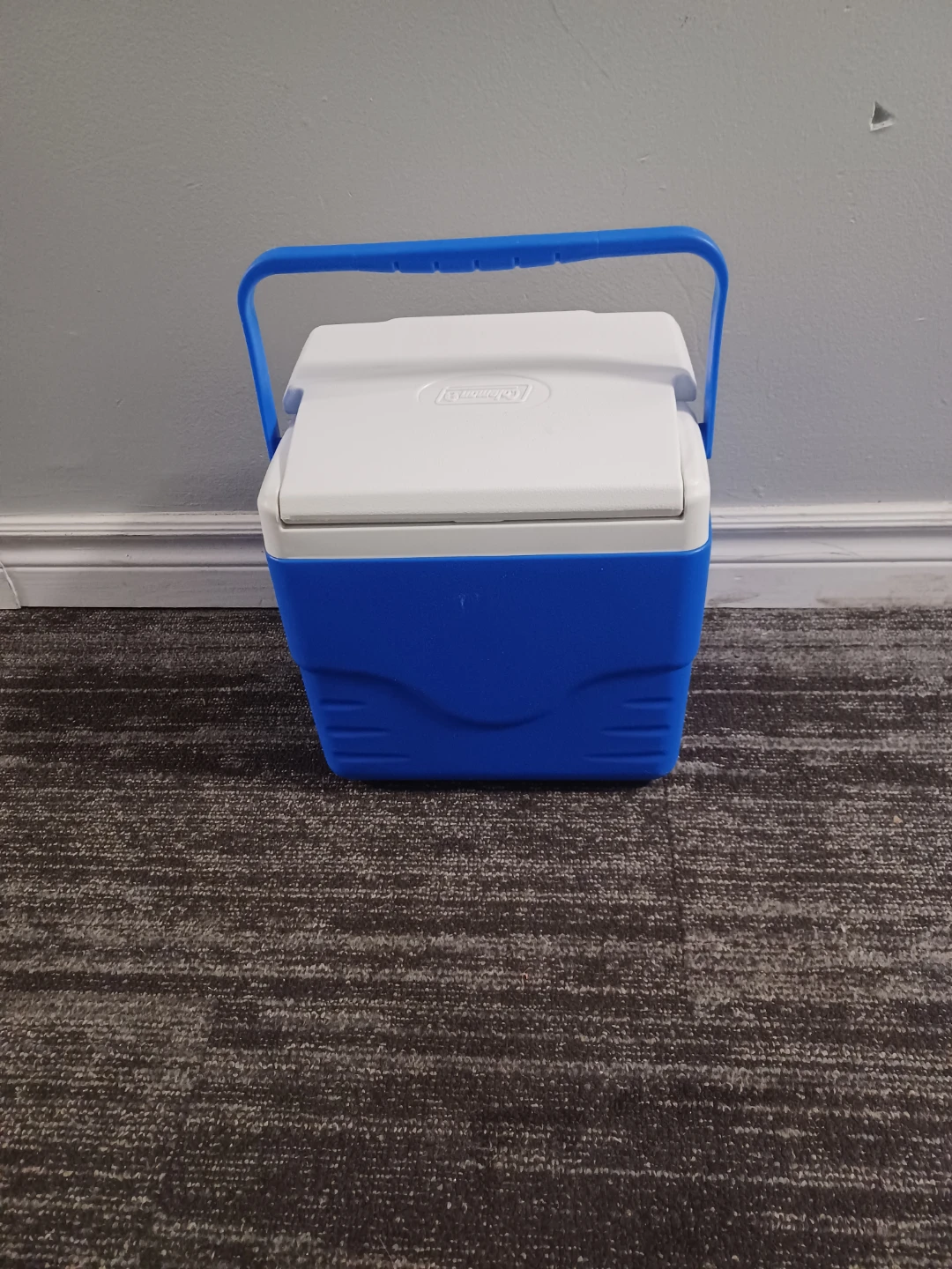 Coleman Cooler - photo 4