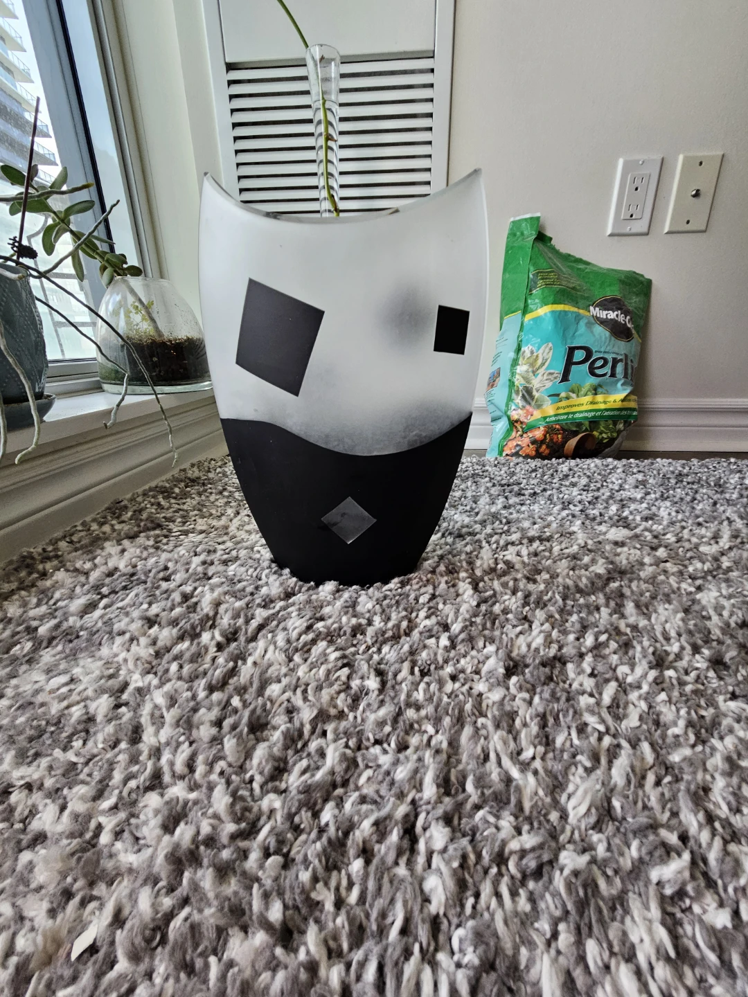 Modern Frosted Glass Vase with Black Accents