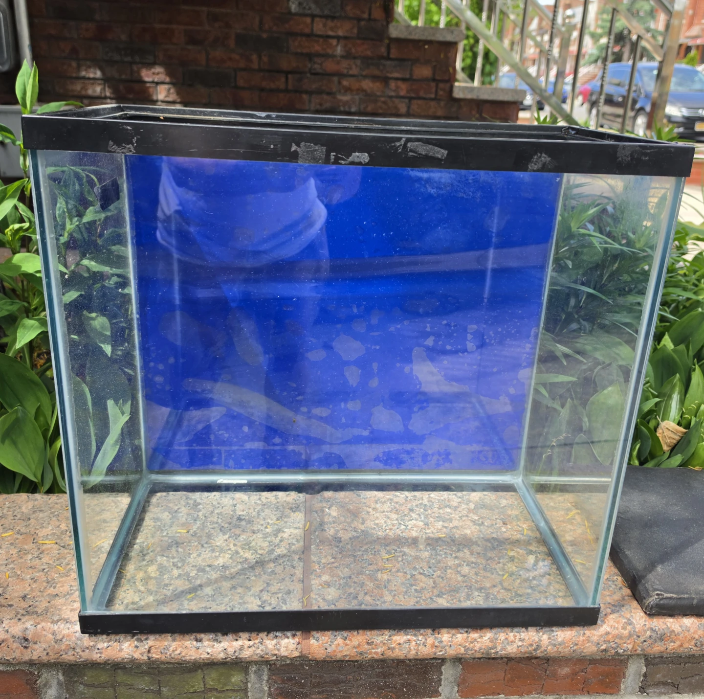 Open Glass 16g Tall Aquarium w/ Black Trim Blue Background