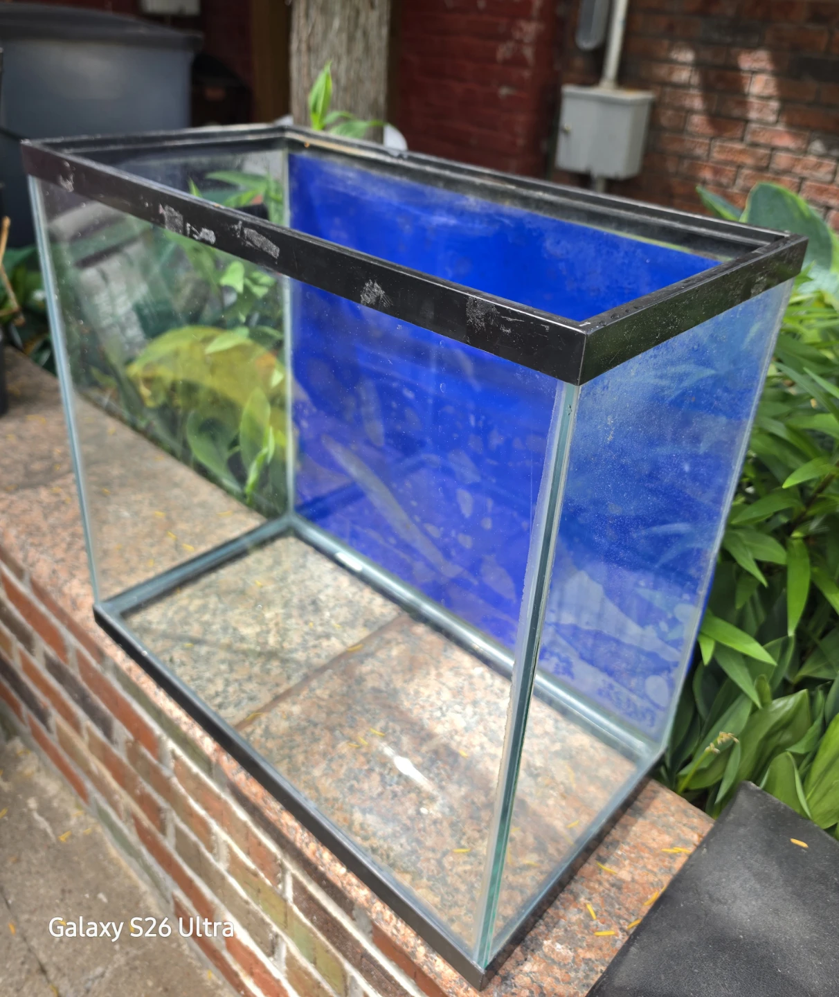 Open Glass 16g Tall Aquarium w/ Black Trim Blue Background - photo 2