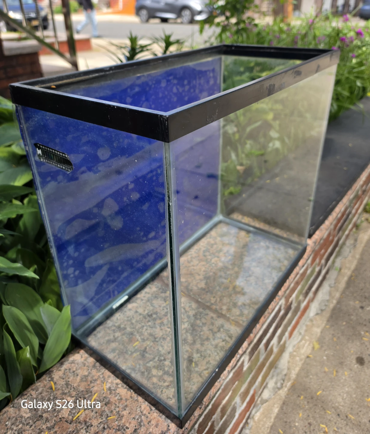 Open Glass 16g Tall Aquarium w/ Black Trim Blue Background - photo 3