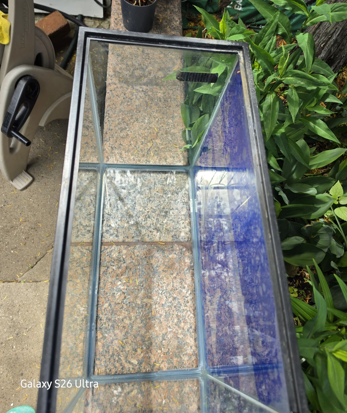 Open Glass 16g Tall Aquarium w/ Black Trim Blue Background - photo 4