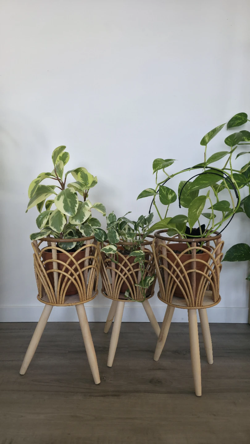 Rattan Plant Stand Set with Pots