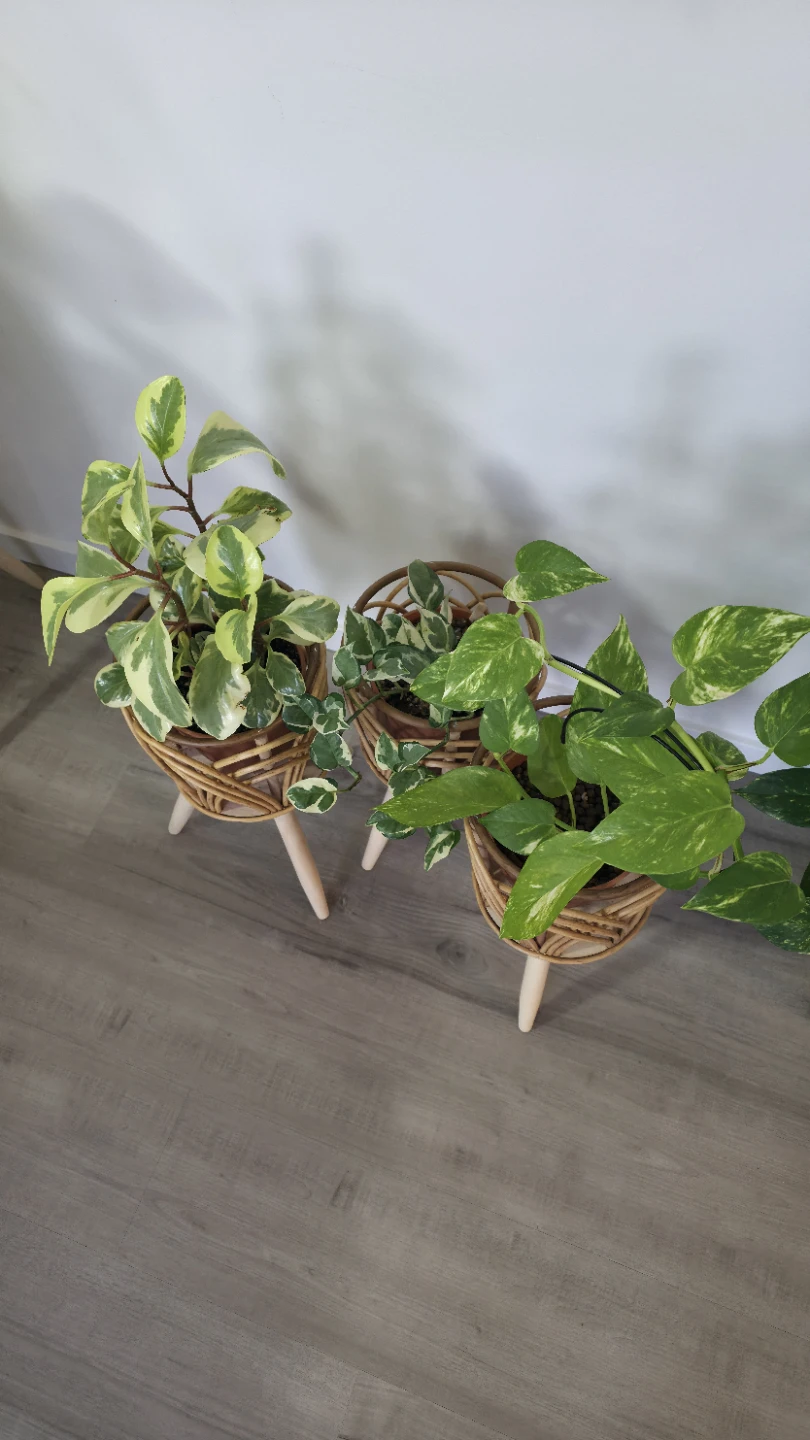 Rattan Plant Stand Set with Pots - photo 2