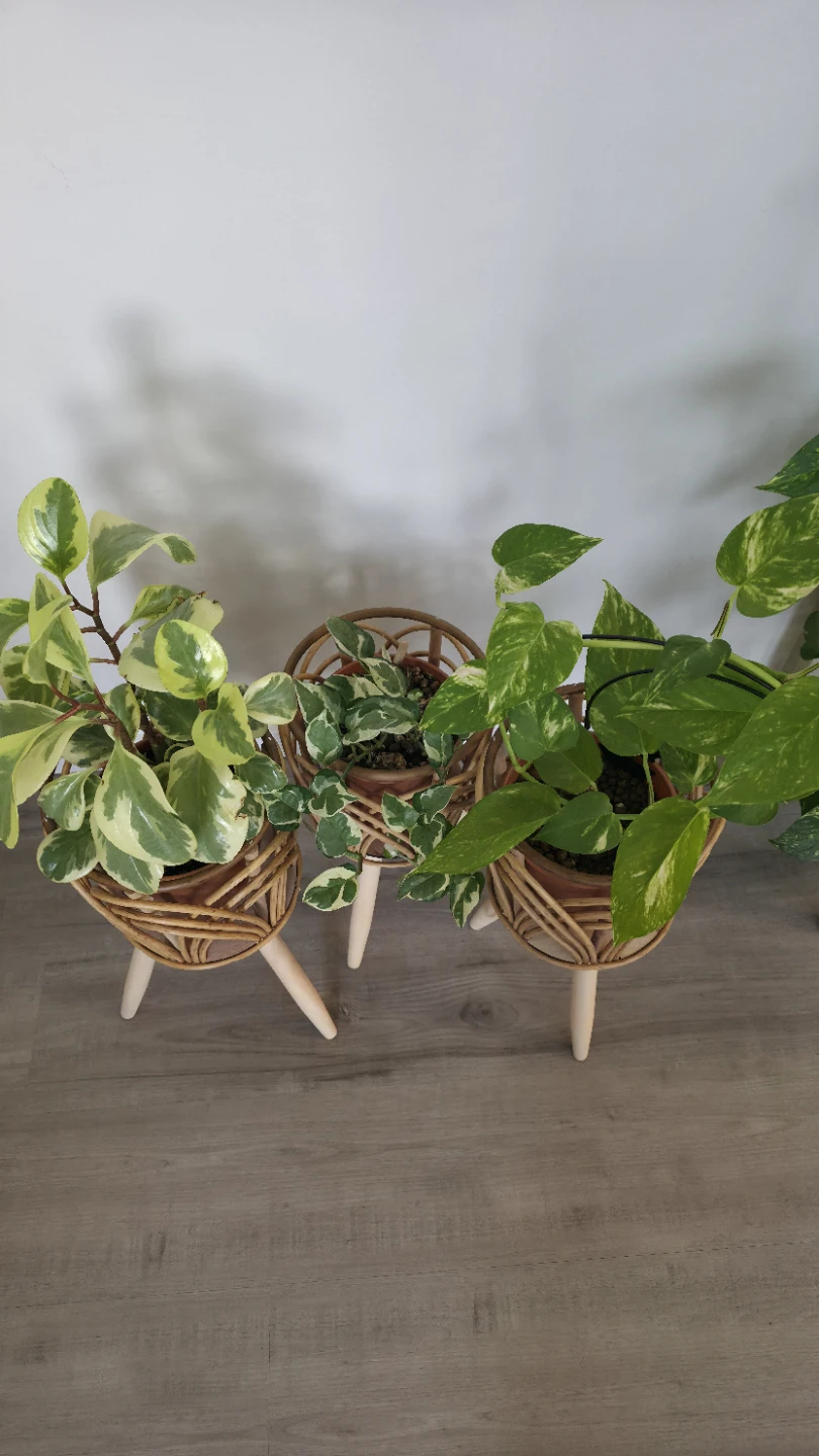 Rattan Plant Stand Set with Pots - photo 5