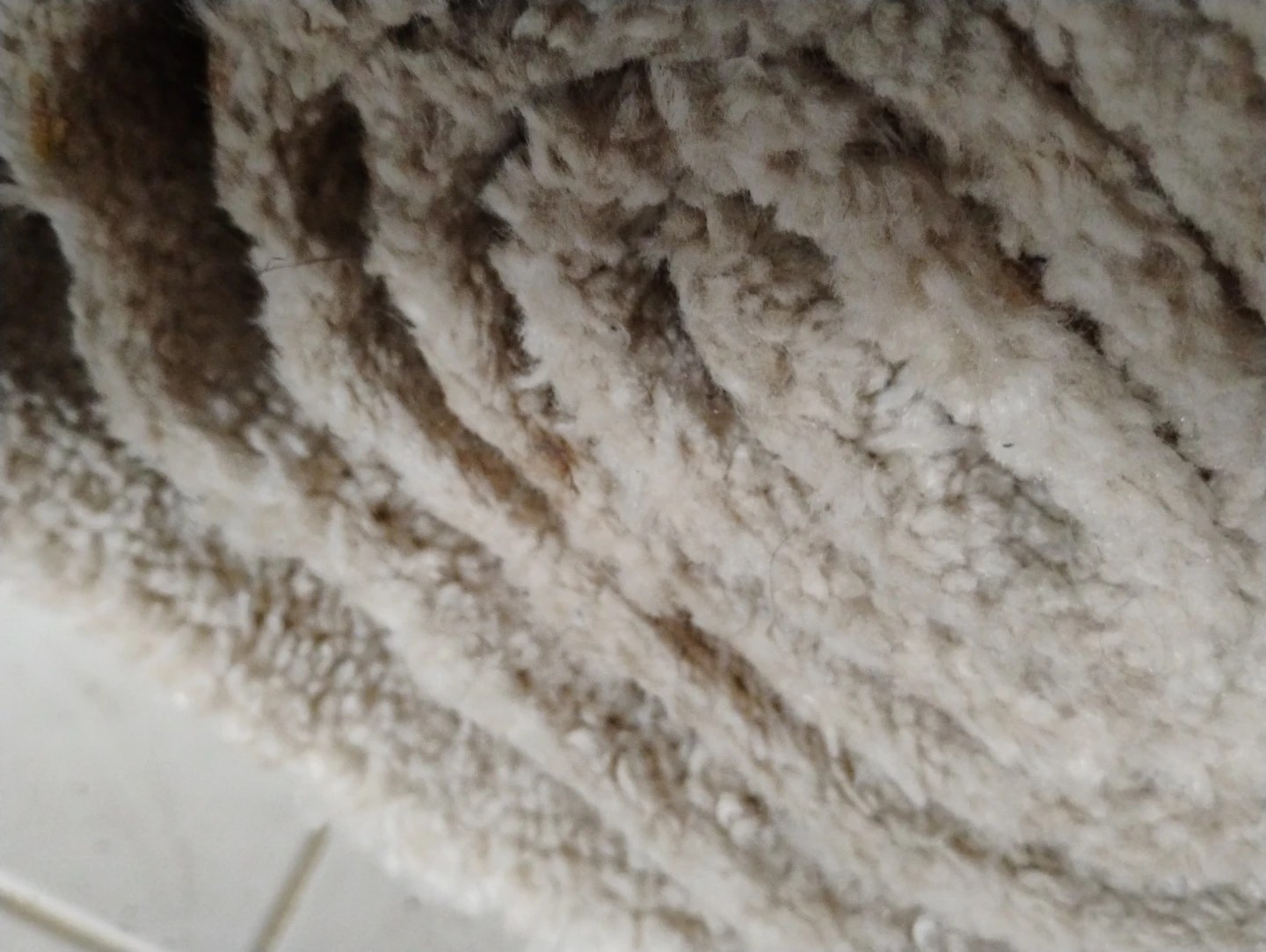 Beige Carpet Remnant - photo 3