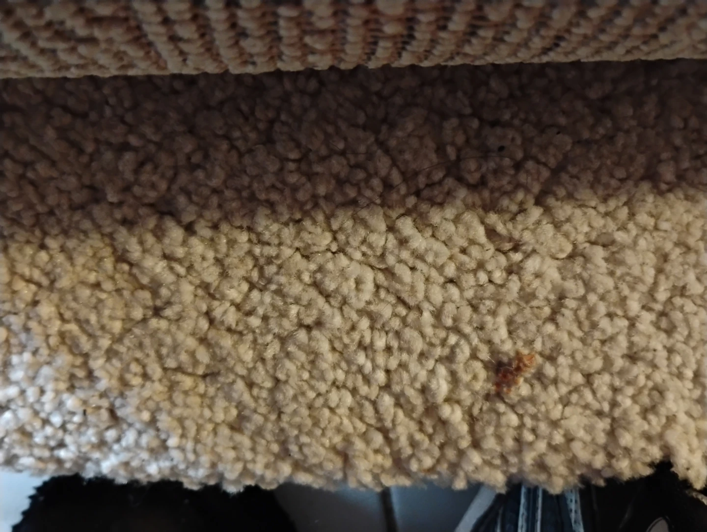 Beige Carpet Remnant - photo 5