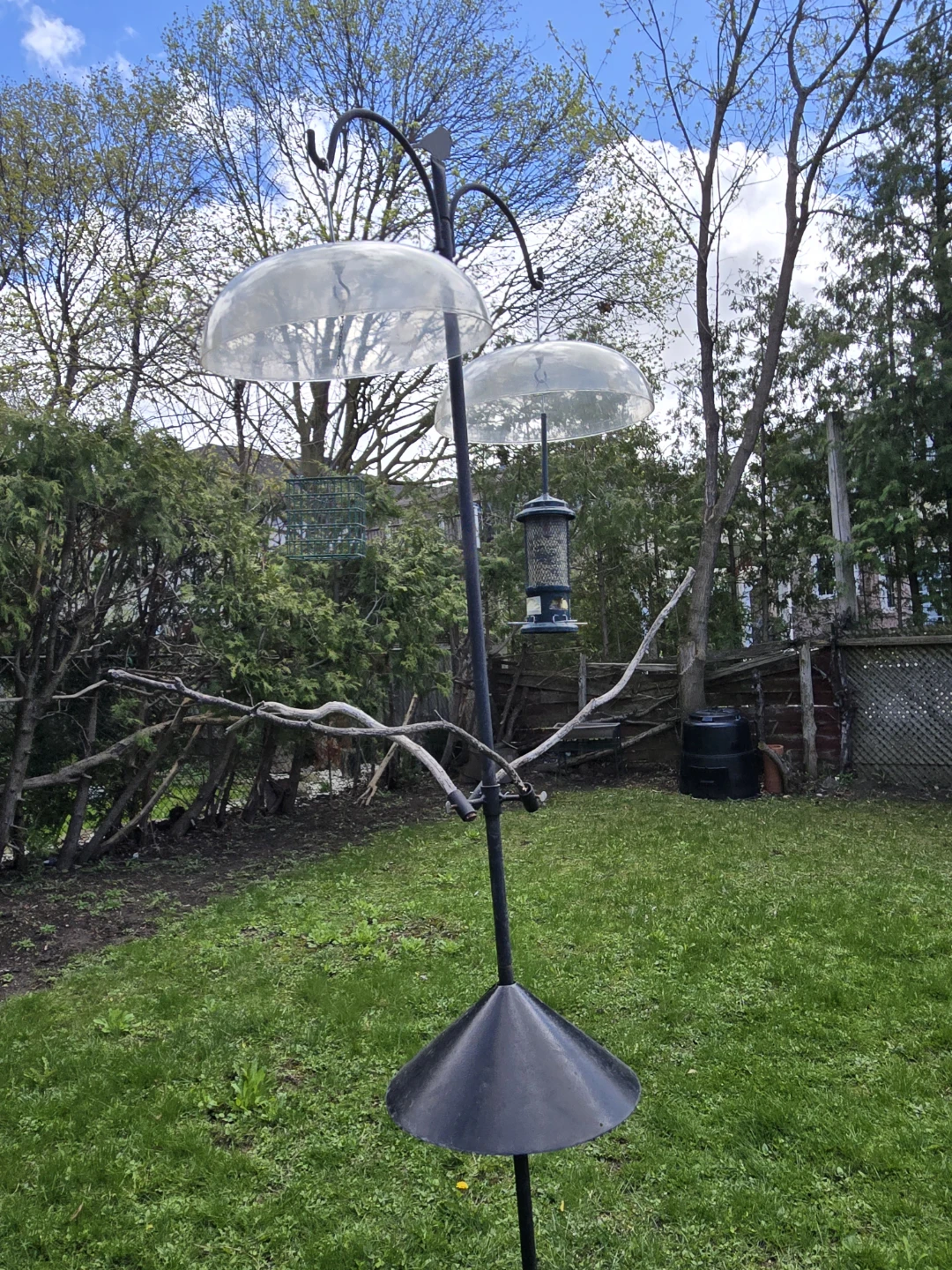 Bird Feeder Station with 2 Feeders and Squirrel Baffles - photo 4