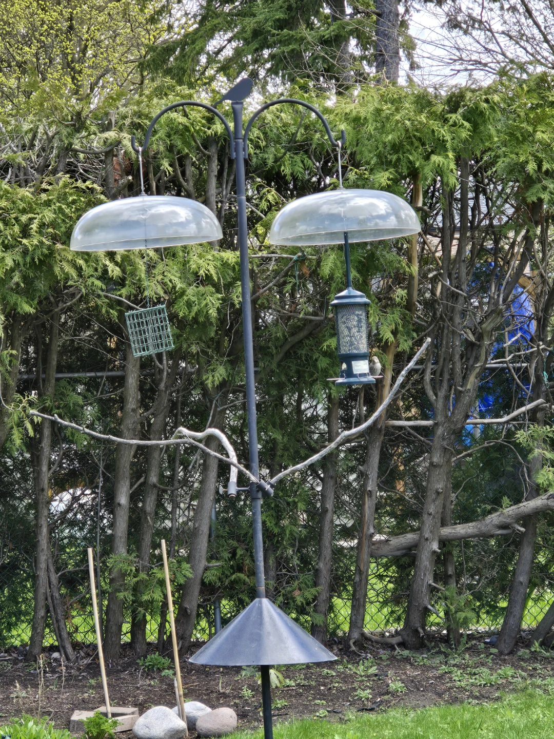Bird Feeder Station with 2 Feeders and Squirrel Baffles - photo 5